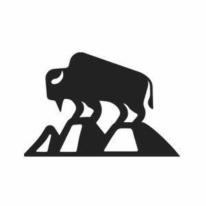 Bison Gear
